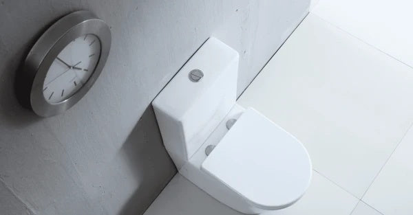 Belmont Back to Wall Rimless Compact Toilet Suite – Gloss White – view 6