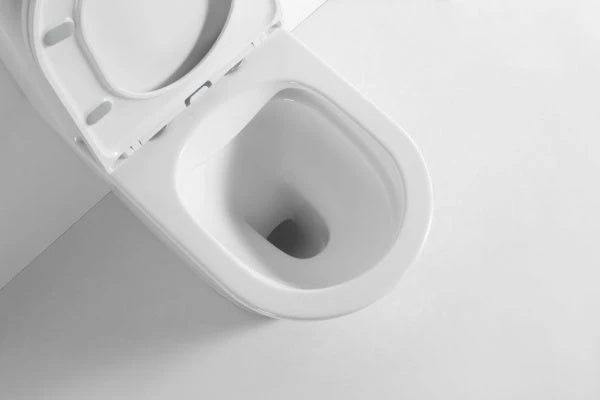 Belmont Back to Wall Rimless Compact Toilet Suite – Gloss White – detail view