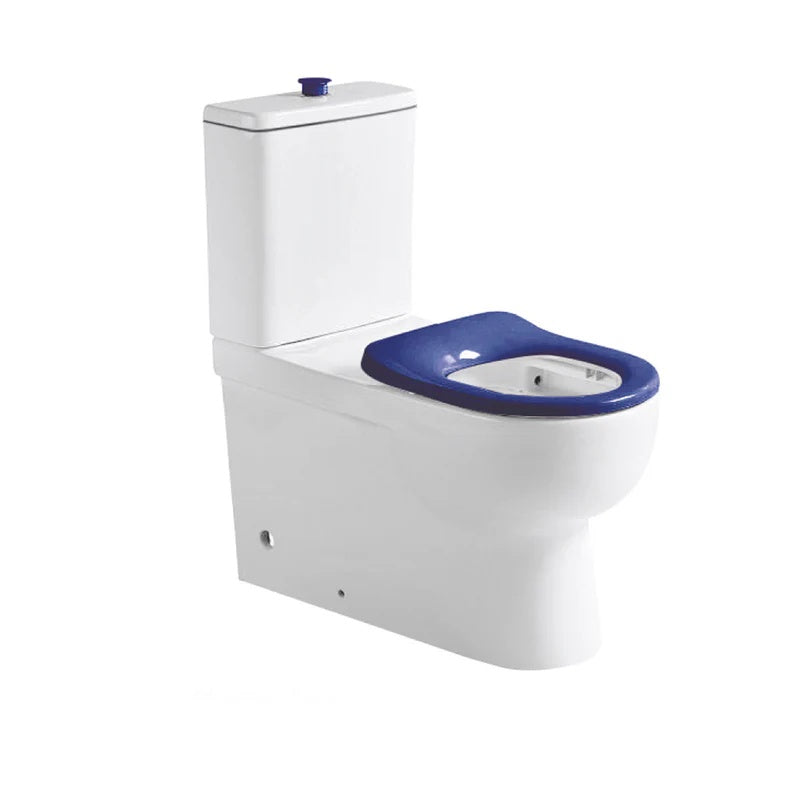 Classico Care Rimless Back-to-Wall Toilet Suite – Blue Disabled Compliant