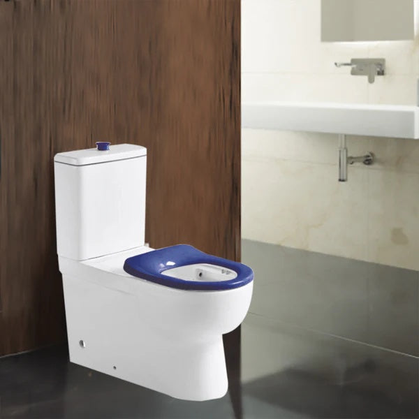 Classico Care Rimless Back-to-Wall Toilet Suite – Blue Disabled Compliant – detail view