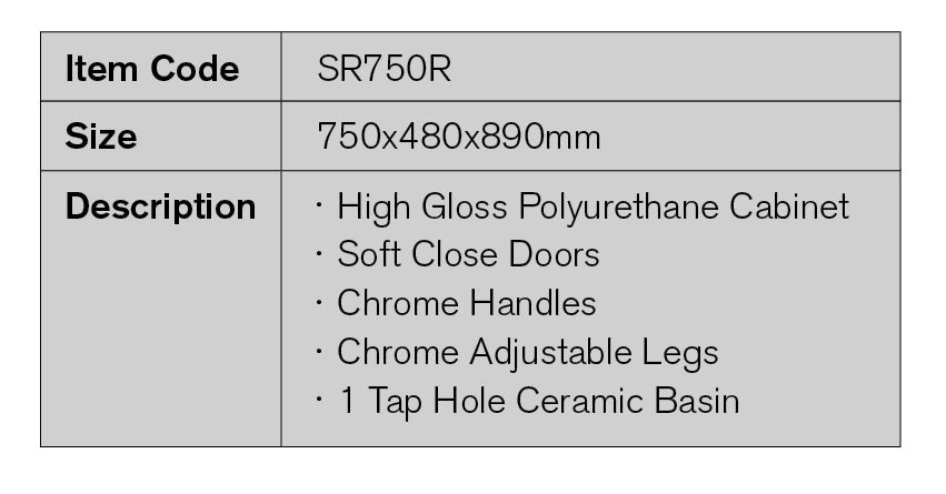 SR750R - 750x480x890mm High Gloss Polyurethane Cabinet with Soft Close Doors – detail view