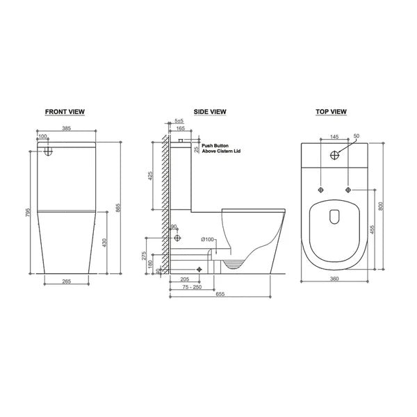 Wellness Care Rimless Back-to-Wall Toilet Suite – Grey Disabled Compliant – detail view