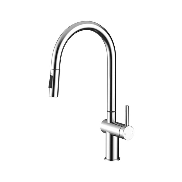 Amoza Pull-Out Gooseneck Sink Mixer with Veggie Spray