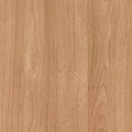 Elegant Oak