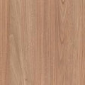 Tasmanian Oak