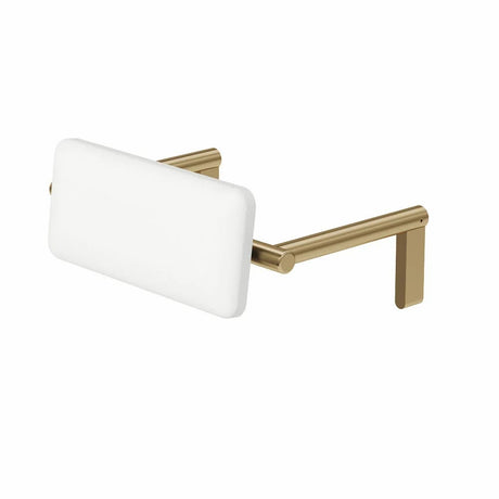 Premium Disabled and Accessible Backrest Stainless Steel