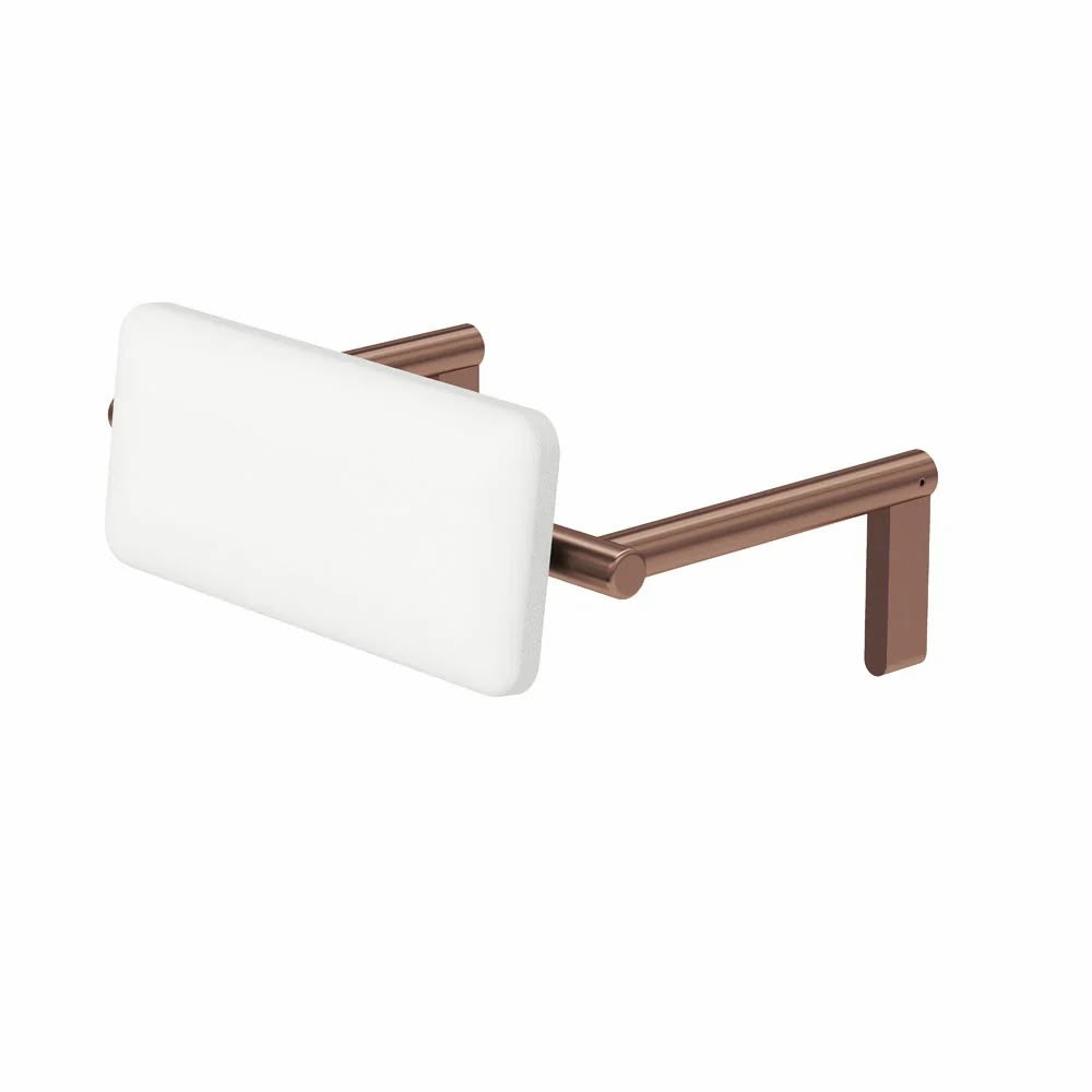 Premium Disabled and Accessible Backrest Stainless Steel