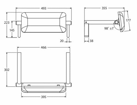 Premium Disabled and Accessible Backrest Stainless Steel