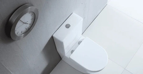 Belmont Back to Wall Rimless Compact Toilet Suite – Gloss White – view 6