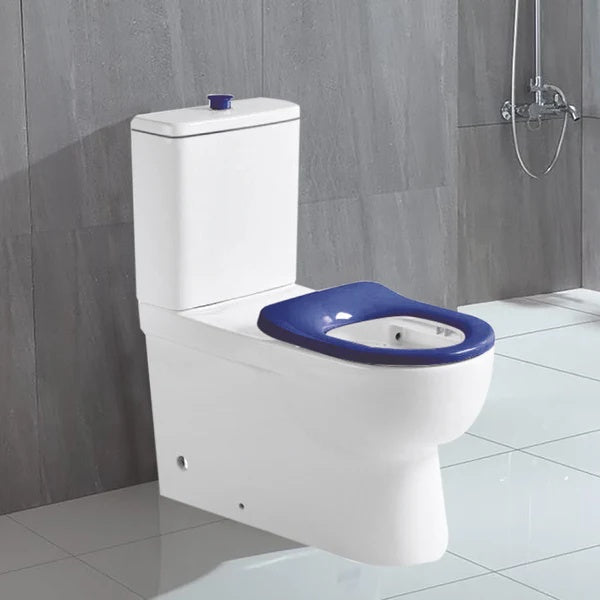 Classico Care Rimless Back-to-Wall Toilet Suite – Blue Disabled Compliant – alternate view