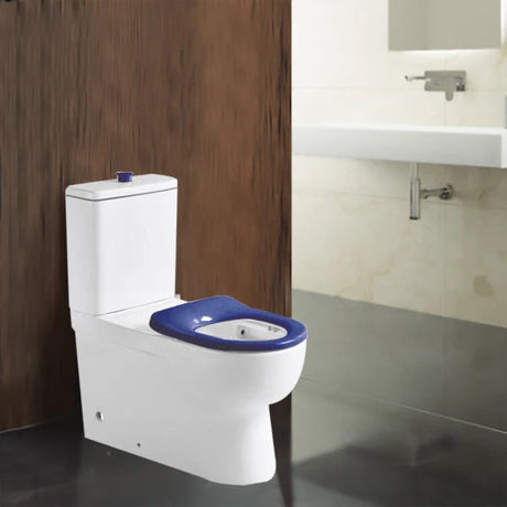 Classico Care Rimless Back-to-Wall Toilet Suite – Blue Disabled Compliant – detail view