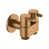 Amoza Dual Cistern Tap Ceramic Disk