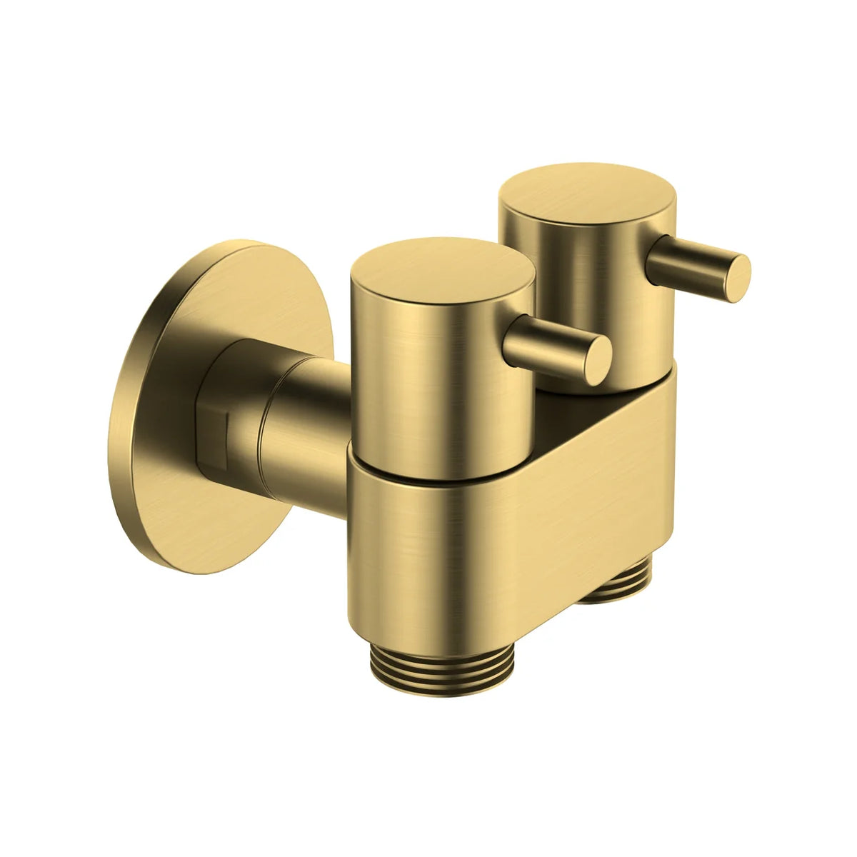Amoza Dual Cistern Tap Ceramic Disk