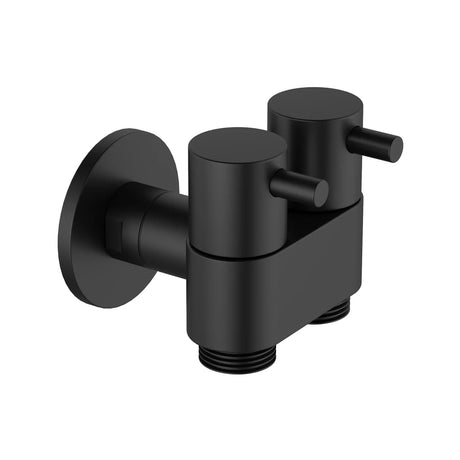 Amoza Dual Cistern Tap Ceramic Disk