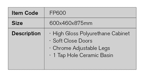 FP600 - 600x460x875mm High Gloss Polyurethane Vanity with Ceramic Basin – detail view