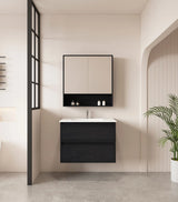 Hera 750mm Vanity Wall Hung - 750x450x560mm