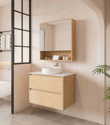 Hera 750mm Vanity Wall Hung - 750x450x560mm