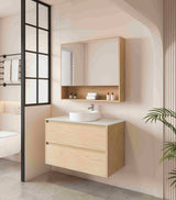Hera 900mm Vanity Wall Hung - 900x450x560mm