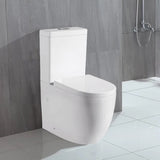 Lawson Back To Wall Toilet Suite – Gloss White – detail view