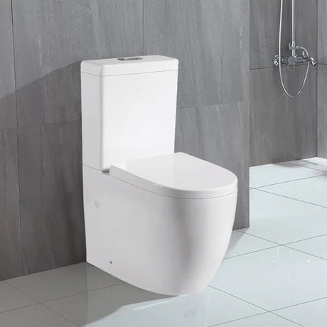 Lawson Back To Wall Toilet Suite – Gloss White – detail view