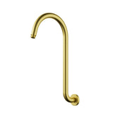 Clasico Gooseneck Shower Arm – detail view
