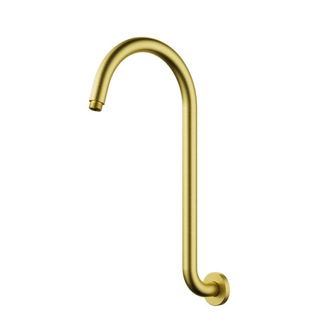 Clasico Gooseneck Shower Arm – detail view