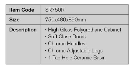SR750R - 750x480x890mm High Gloss Polyurethane Cabinet with Soft Close Doors – detail view
