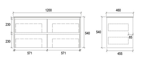 WHDM1200 - 1200x460x540mm Wall Hung Vanity with Veneer Cabinet – alternate view