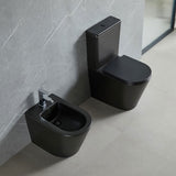Damian Rimless Flush Toilet Suite – Matte Black – view 5