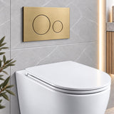 Stainless Steel Round Flush Buttons for Geberit Sigma – Brushed Gold