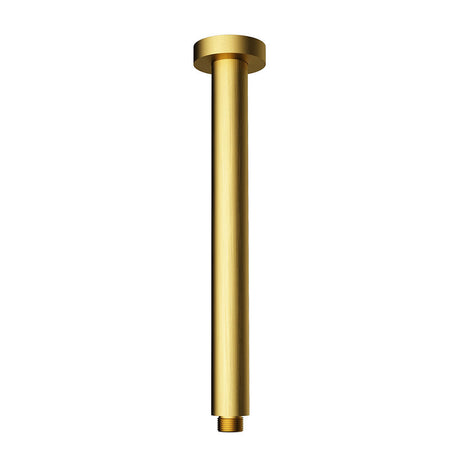 Round Shower Arm Vertical 600mm – alternate view