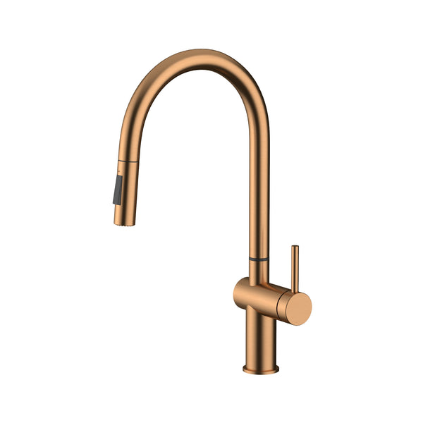 Amoza Pull-Out Gooseneck Sink Mixer with Veggie Spray