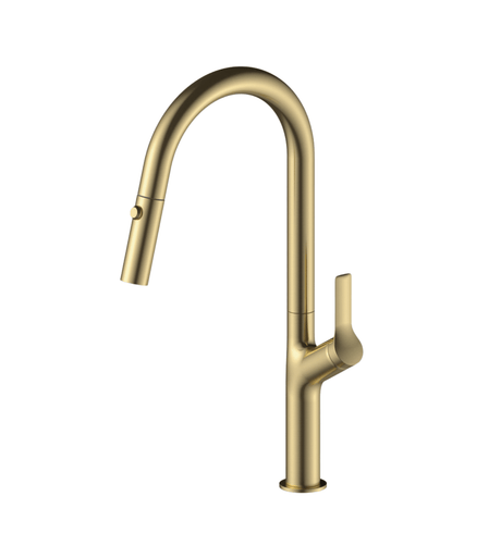 Tish S2 Pull-Out Kitchen Sink Mixer